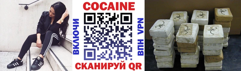 COCAIN Fish Scale  купить  цена  Бутурлиновка 