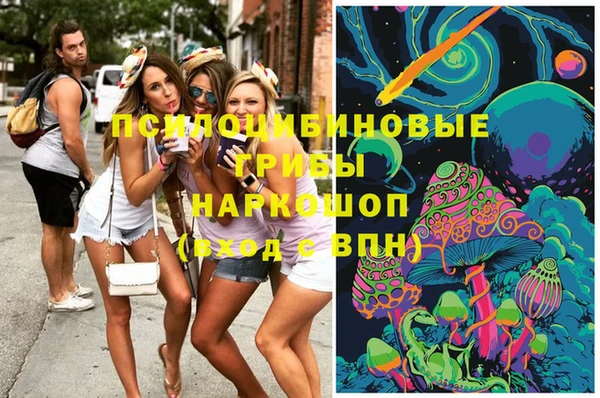 2c-b Богородицк