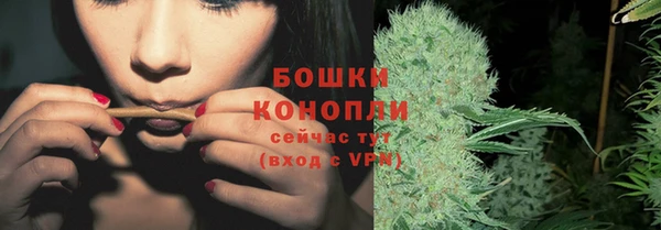 apvp Богданович