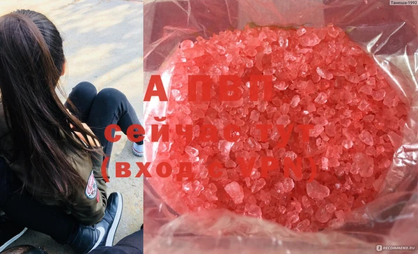 apvp Богданович