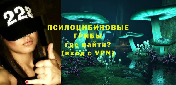 apvp Богданович
