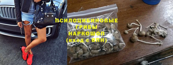 apvp Богданович