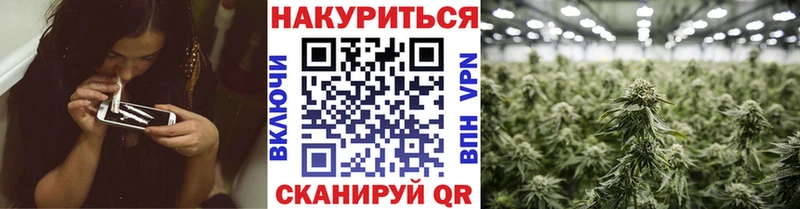 где продают Бутурлиновка Канабис планчик